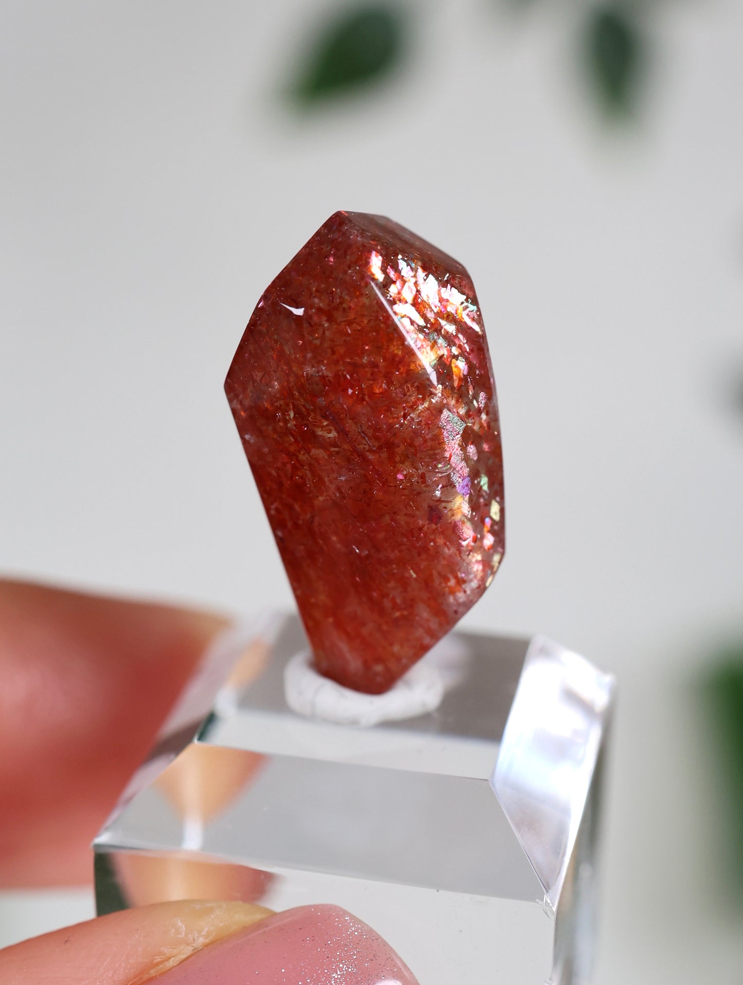 Sonnenstein in Quarz Nr.34SQ