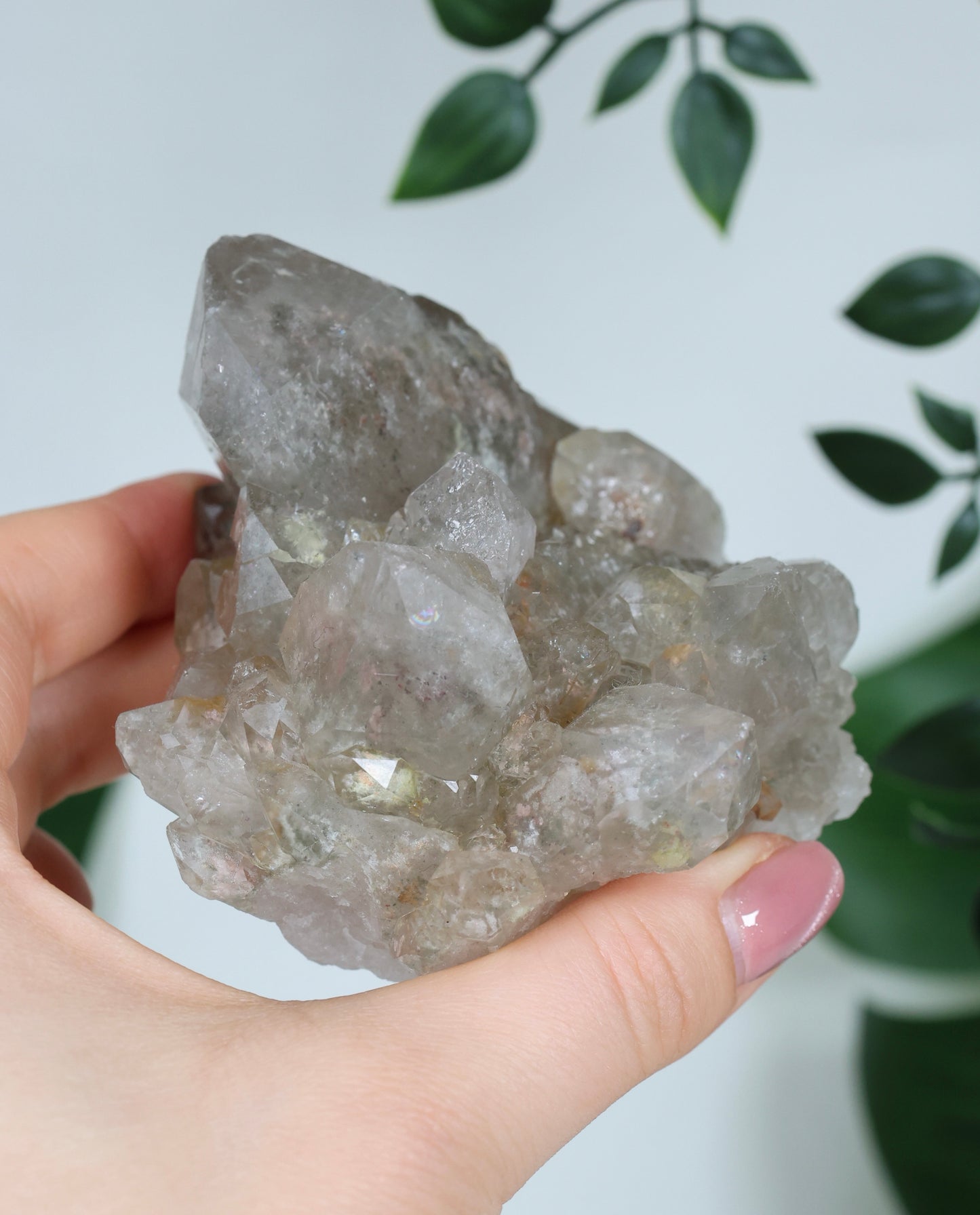 Gartenquarz x Rutil Cluster Nr.168GR