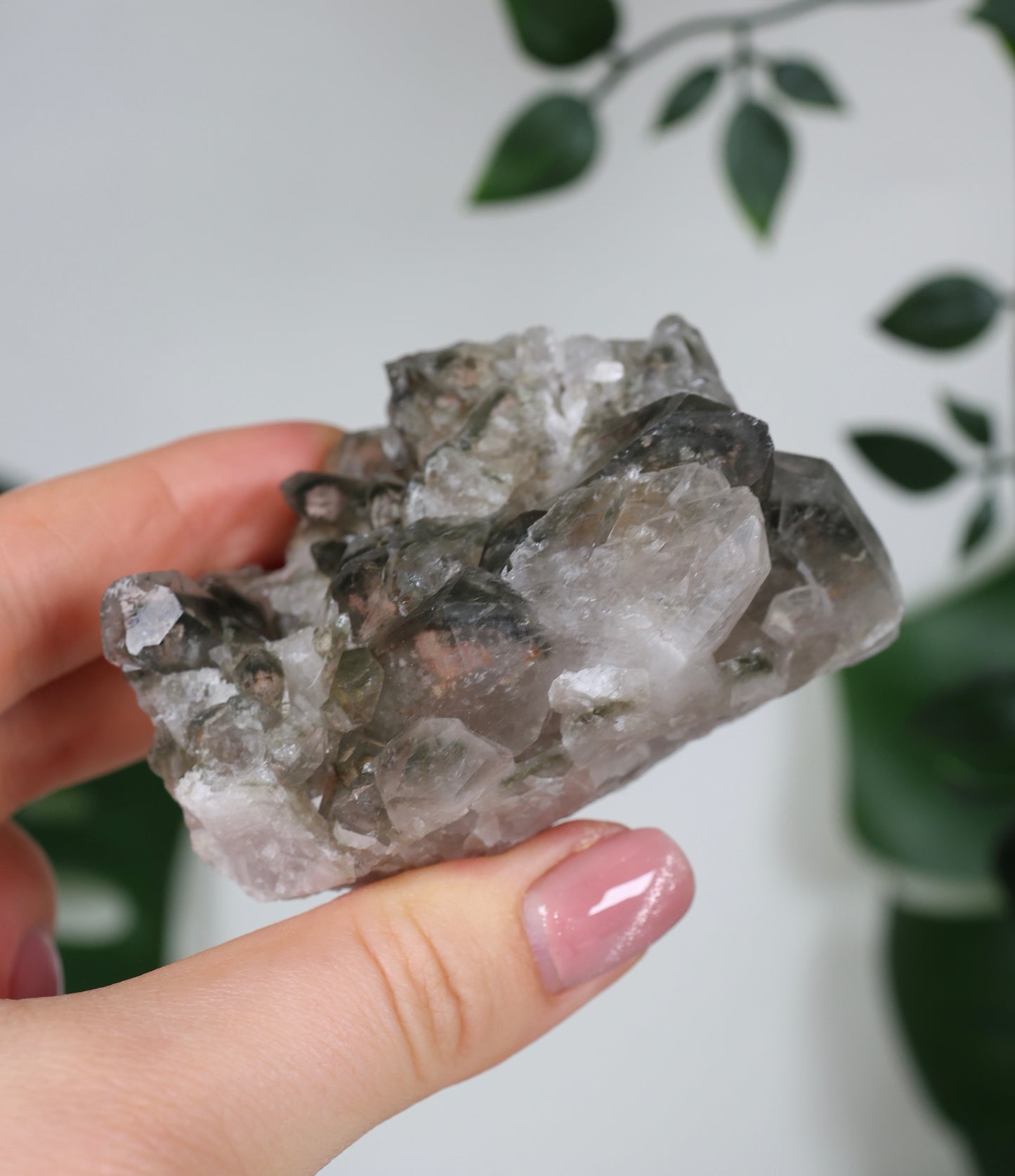 Gartenquarz Cluster Nr.65GQ