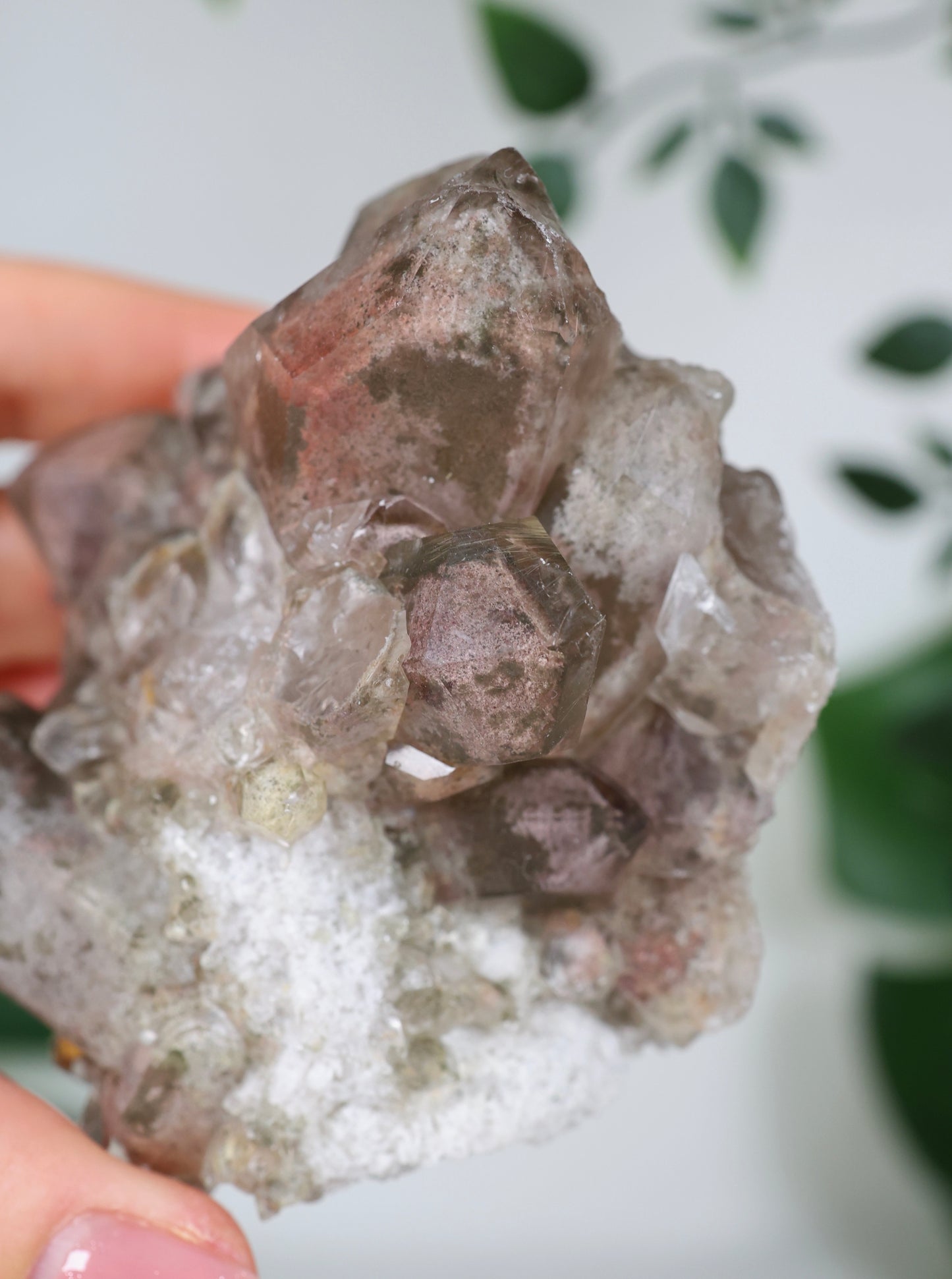 Gartenquarz x Rutil Cluster Nr.165GR