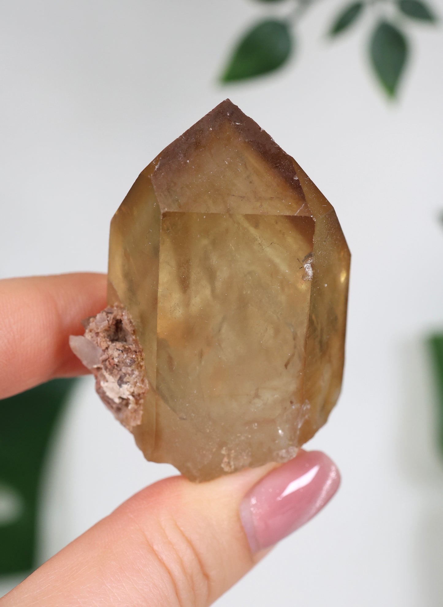 Natürliche Citrin Spitze mit Phantomen Nr.39CS