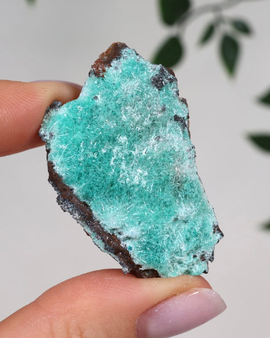 Aurichalcite Nr.33AU