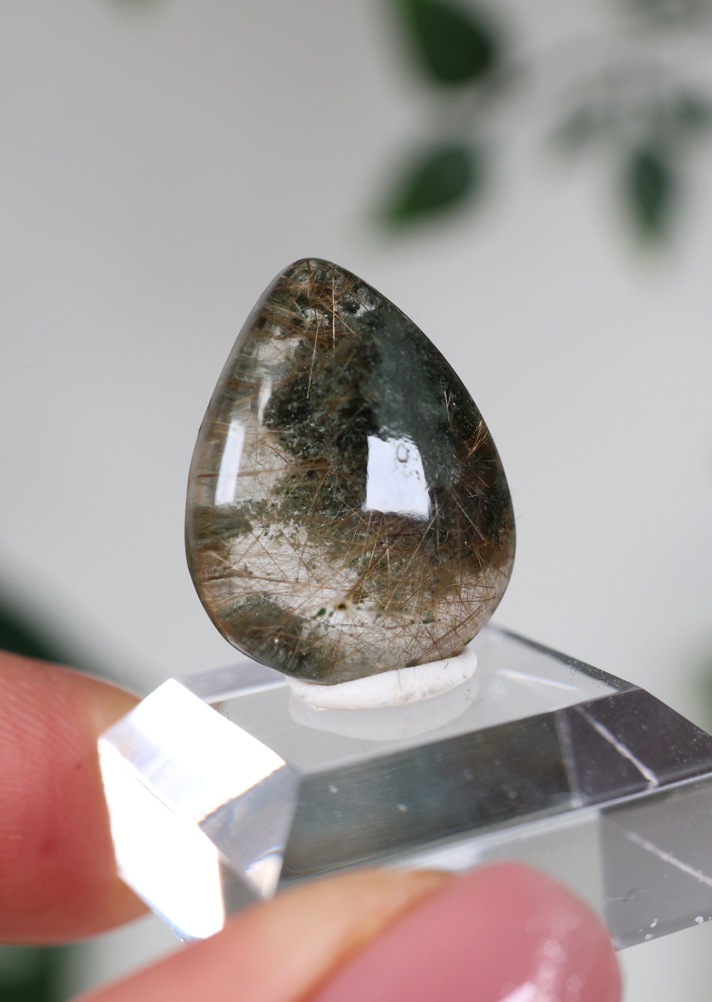 Himalaya Quarz x Chlorit x Rutil Cabochon - Auswahl