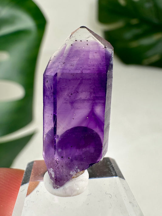 Goboboseb Quarz x Amethyst - Ocean Mine Nr.62GO