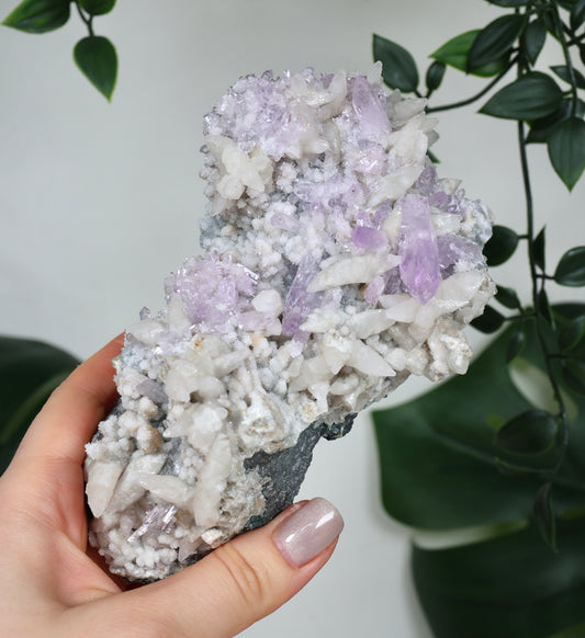 Calcit x Vera Cruz Amethyst Nr.595VC