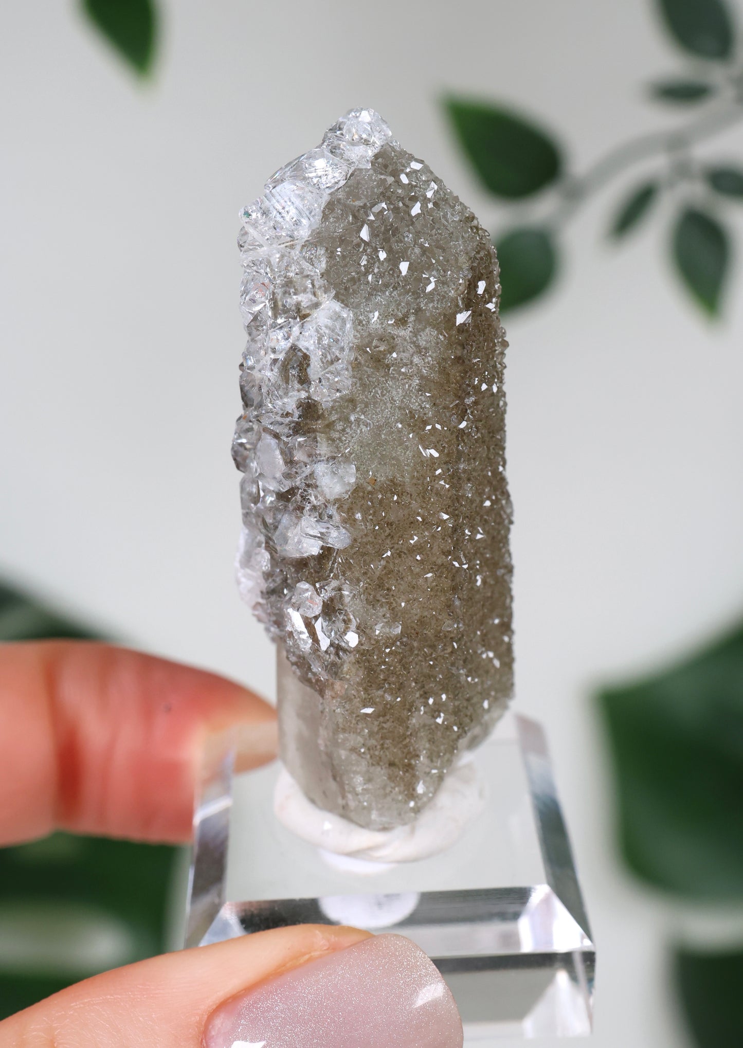 Apophyllit x Quarz x Chlorit Nr.104QA