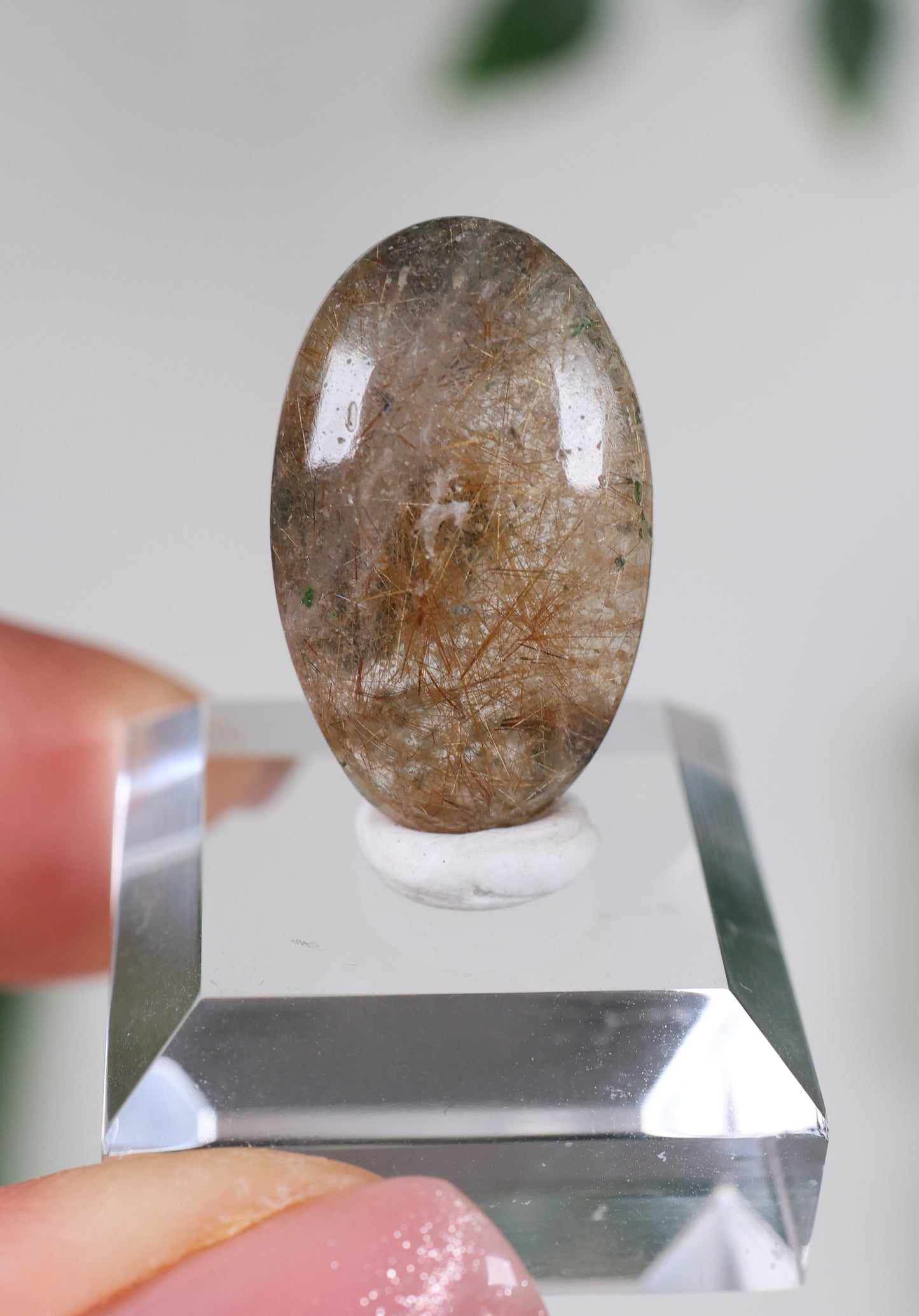 Himalaya Quarz x Chlorit x Rutil Cabochon - Auswahl