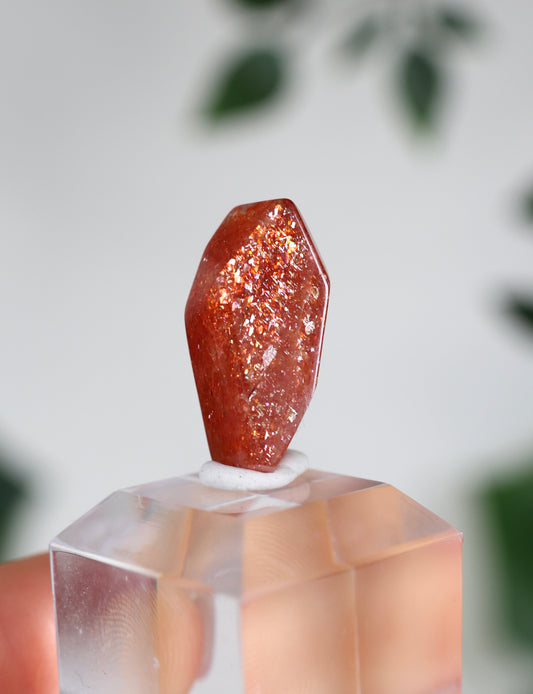 Sonnenstein in Quarz Nr.23SQ