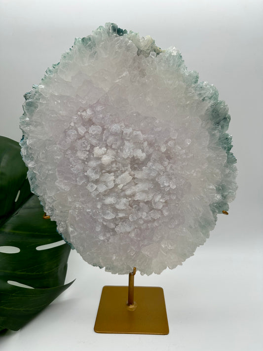 Amethyst Quarz Blume XXL Nr. 899AQ