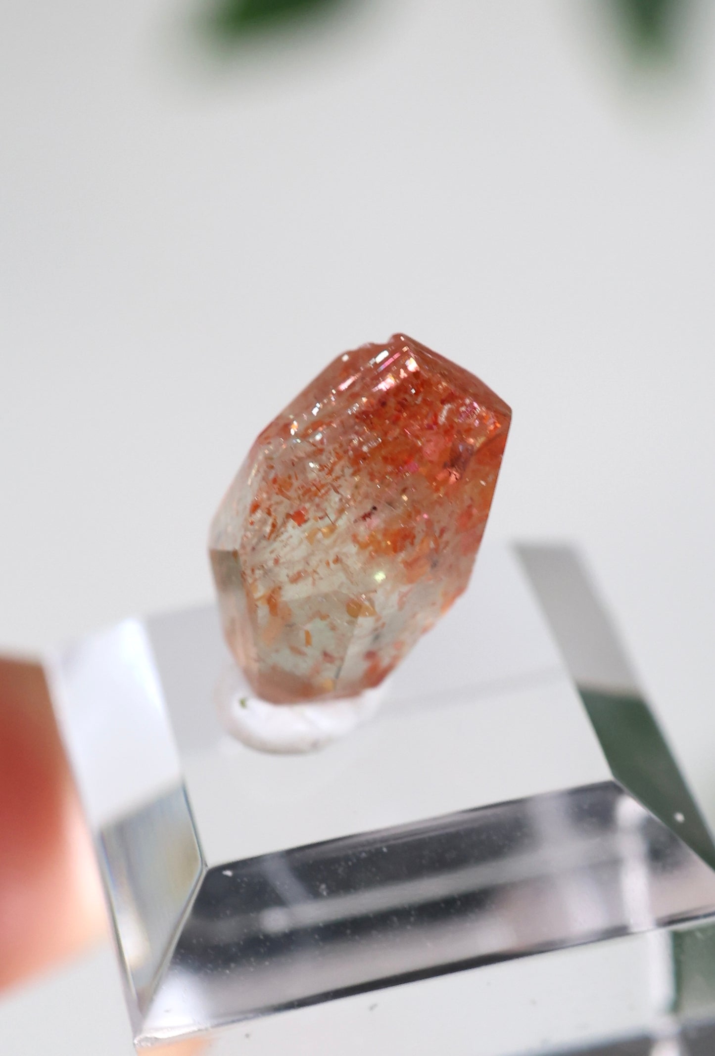 Sonnenstein in Quarz Nr.16SQ