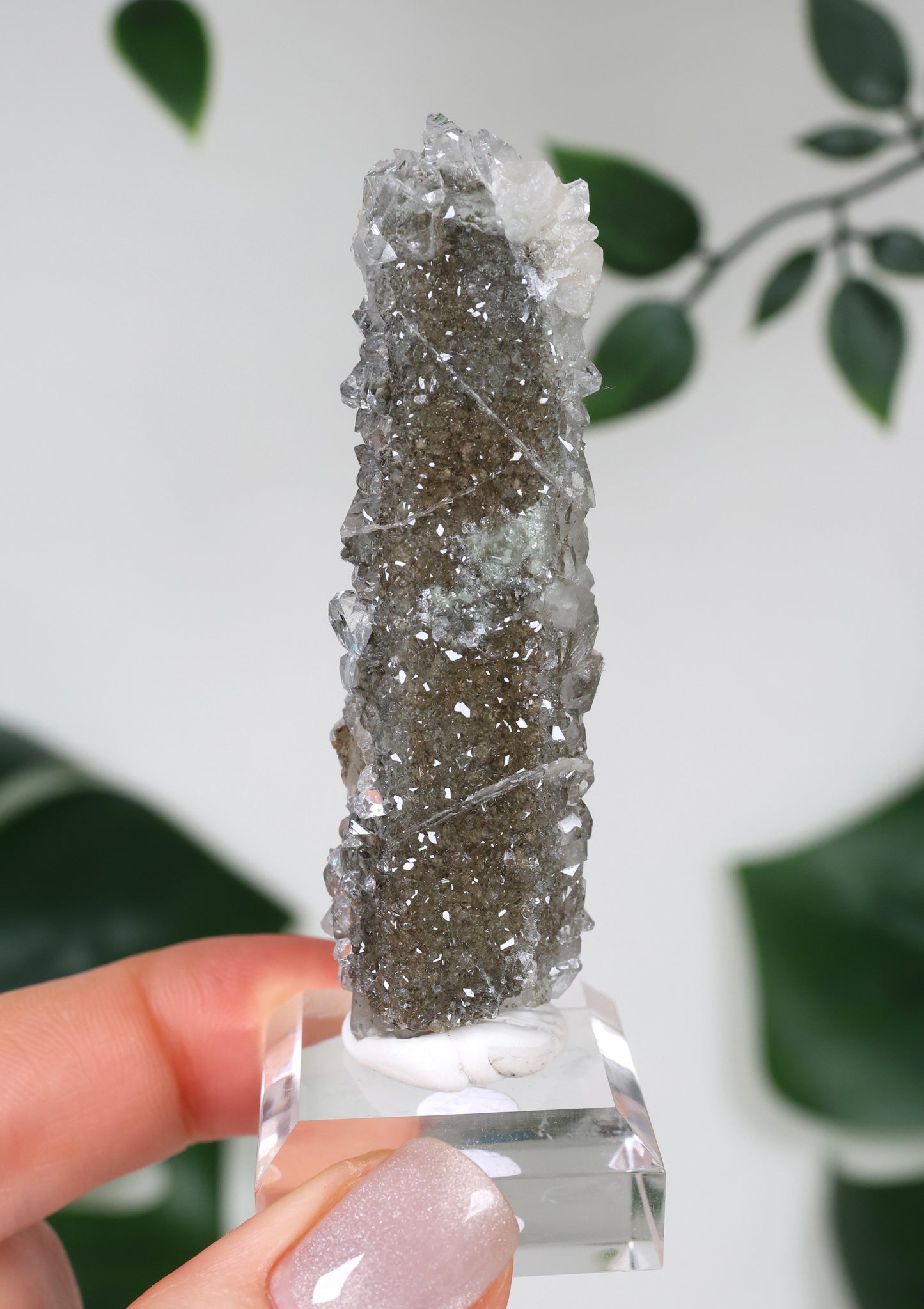 Apophyllit x Quarz x Chlorit Nr.110QA