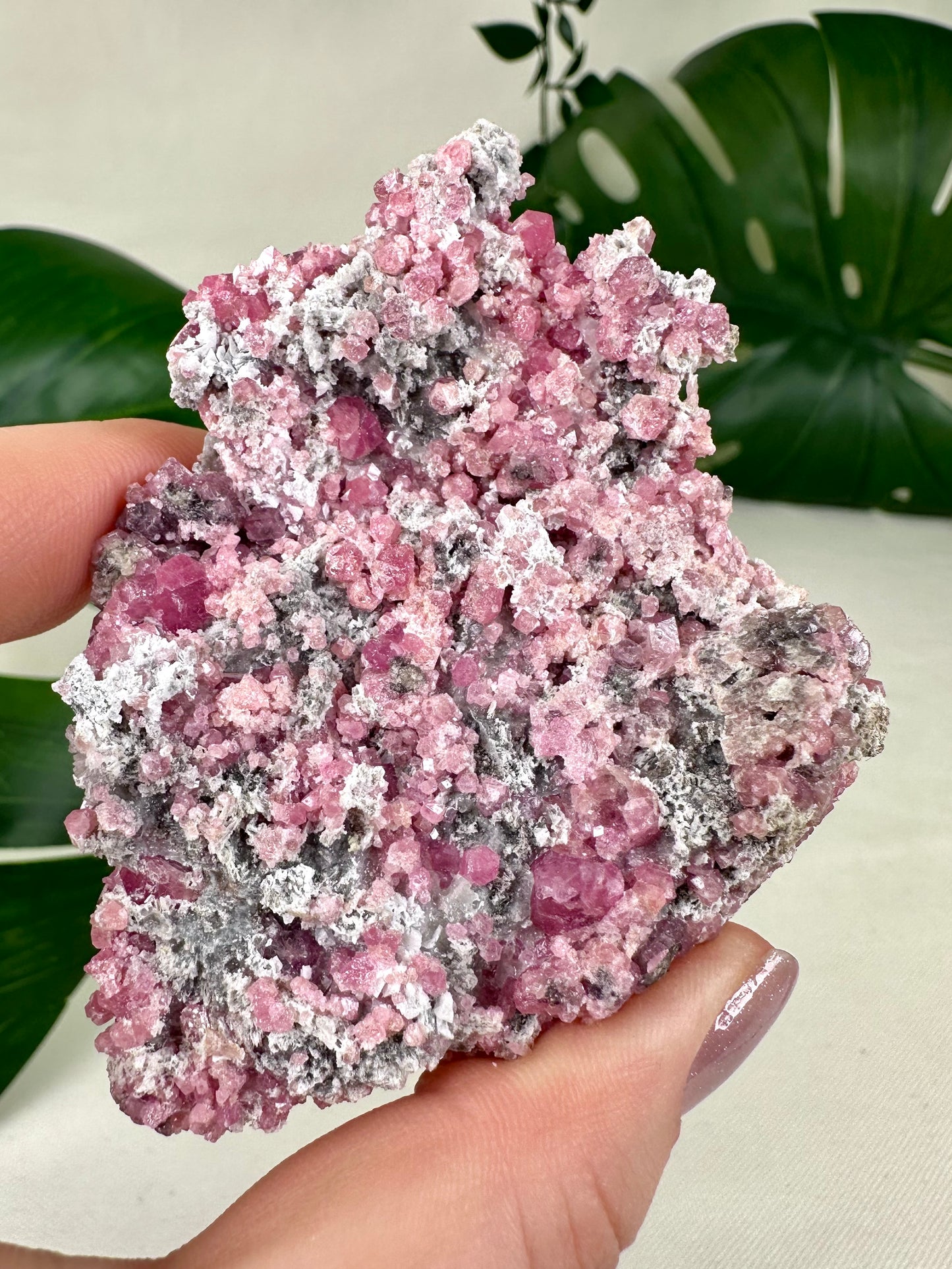 Pinker Granat Nr.113PG