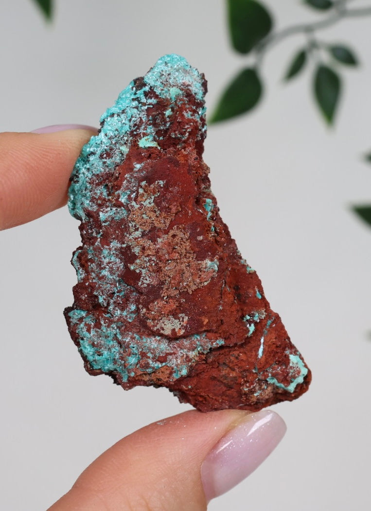 Aurichalcite Nr.37AU