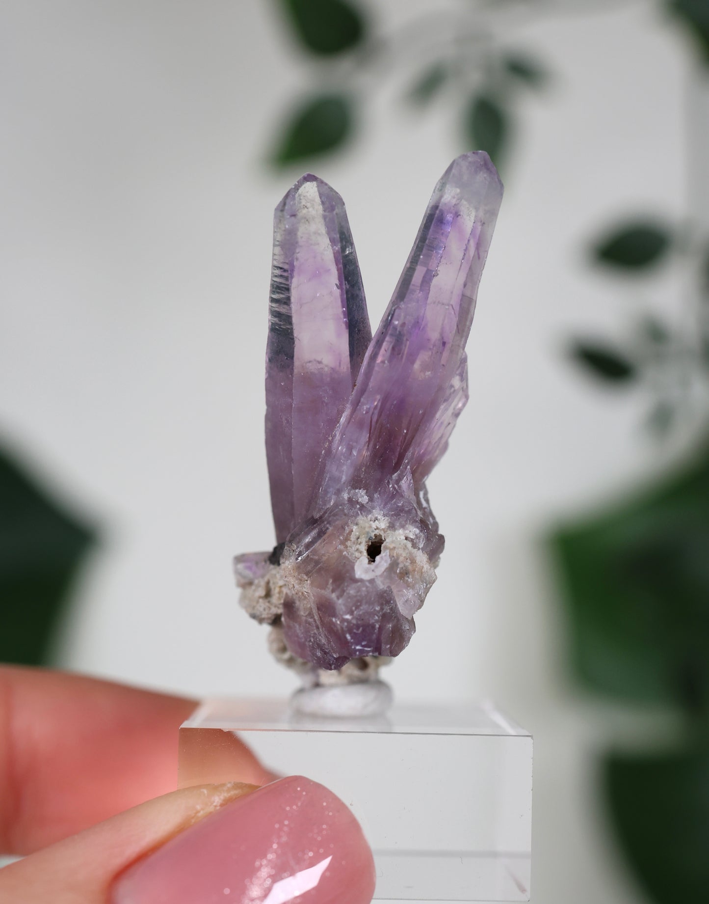 Guerrero Amethyst Nr.32GA
