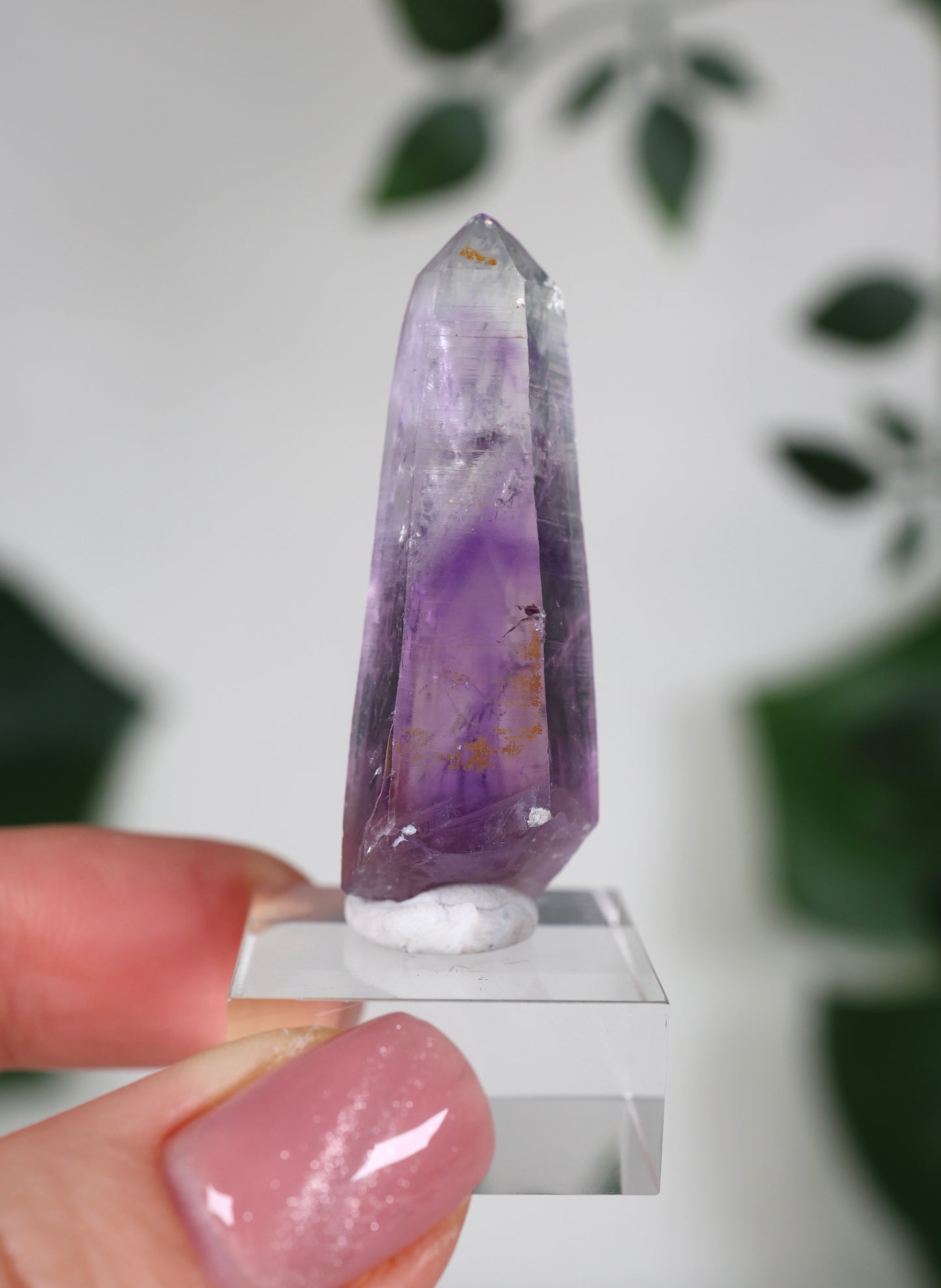 Guerrero Amethyst Oldstock S- Auswahl