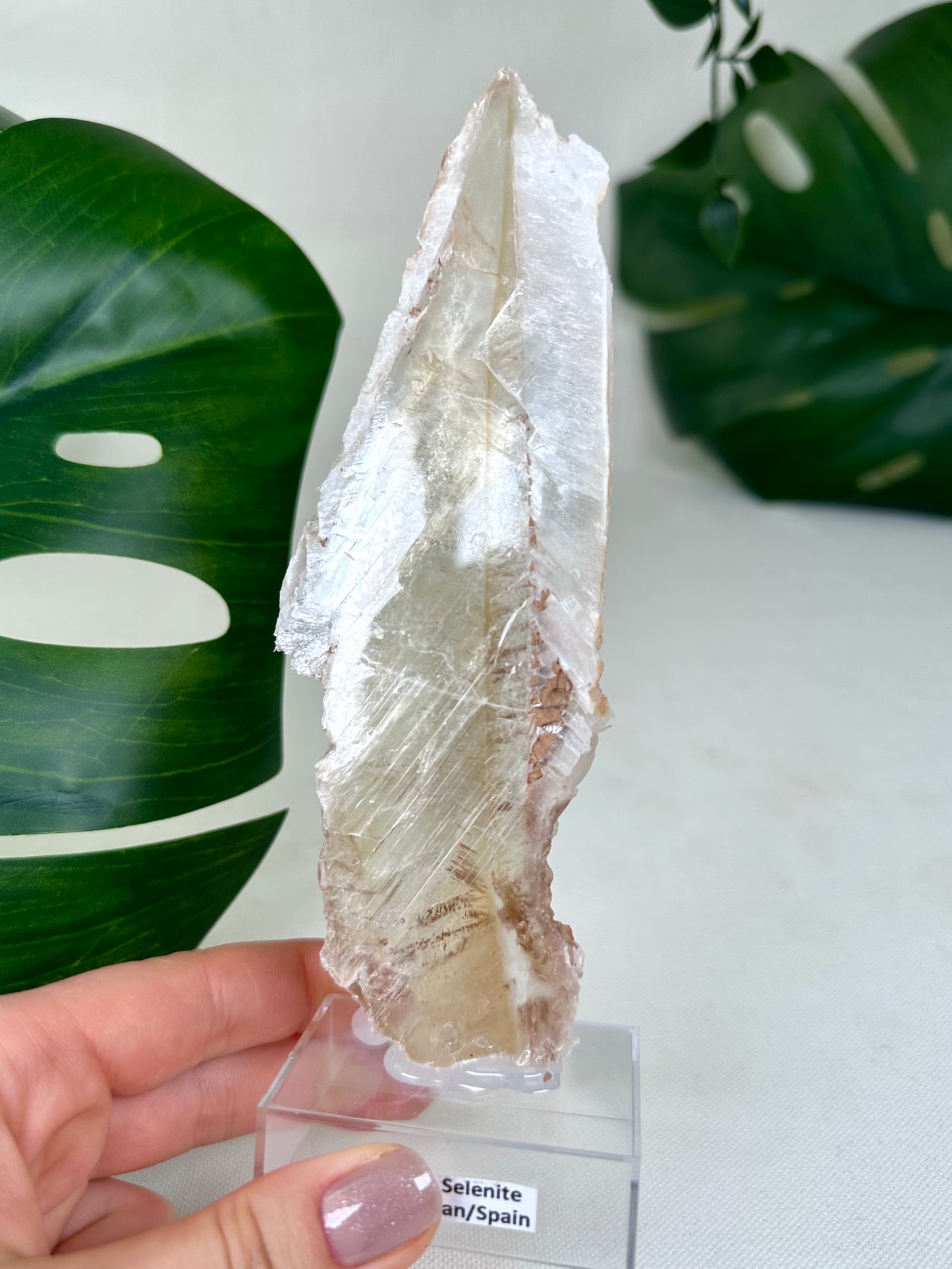 Bicolor Selenite No. 61BS