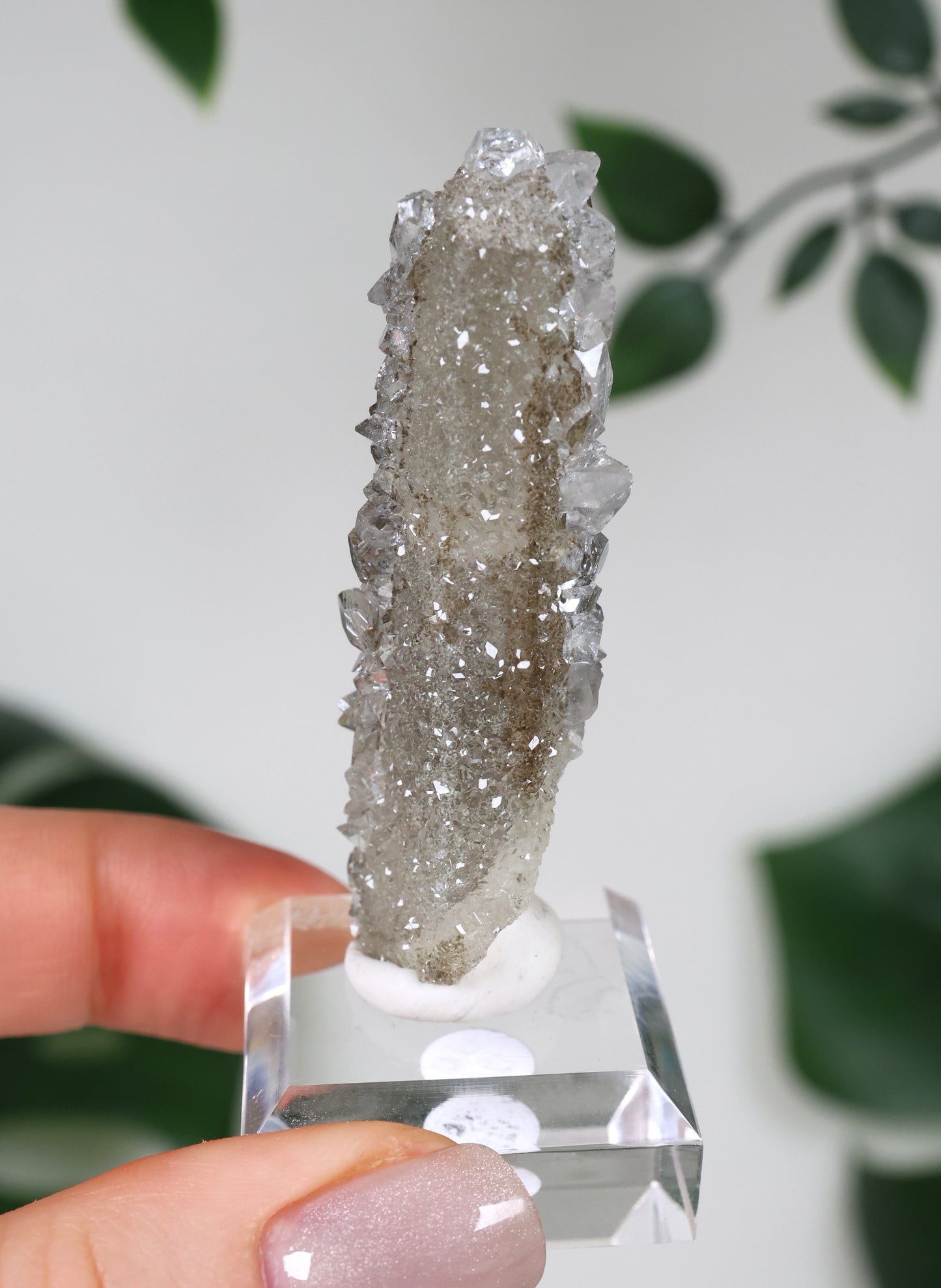 Apophyllit x Quarz x Chlorit Nr.79QA